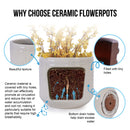 Versatile Flowerpot, Planter For Patio, Garden, Windowsill