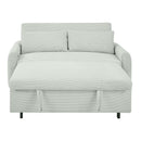 Pull-Out 2 Seat Modern Sleeper Sofa With 2 Throw Pillows And USB Ports