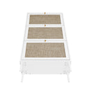 Modern Rattan 3 Door Shoe Rack Cabinet For Entryway