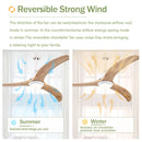 Indoor Outdoor Ceiling Fan With Light With Remote Control, Noiseless Reversible Motor, 6 Speed, 3 Color