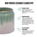 Gradient Flowerpot (Set of 2), Planter For Patio, Garden, Windowsill - White / Green