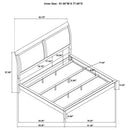 Bexhill - 56" Upholstered Panel Bed