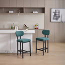 Modern Counter Height Stools (Set of 2)