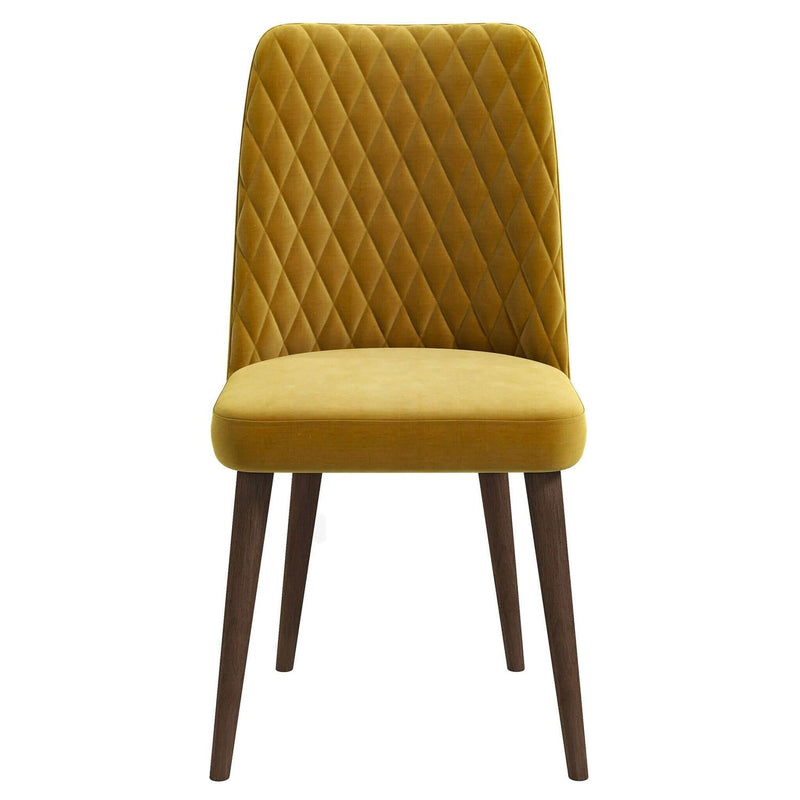 Katie - Mid-Century Modern Velvet Dining Chair (Set of 2)