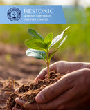 Restonic - ComfortCare DreamLux Firm