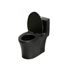 1 Piece Toilet With Dual Flush And Soft Closing Seat