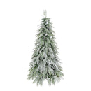 Snow Flocked Christmas Tree With LED Lights