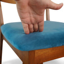 Kaden - Elegant Design Dining Chair (Set of 2)