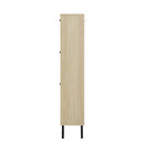Modern Rattan 3 Door Shoe Rack Cabinet For Entryway