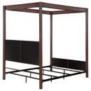 Zimmerlee - Metal Canopy Bed