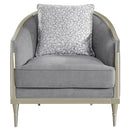 Fernando - Chair With Pillow - Gray Chenille & Champagne