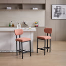 Modern Counter Height Stools (Set of 2)