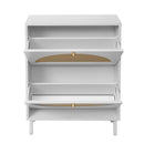 2 Door Shoe Rack, Rattan, Double Layer, Suitable For Living Room, Hallway - White