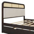 Platform Bed With Trundle And 2 Drawers