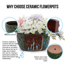 3 Pieces Ceramic Flowerpot