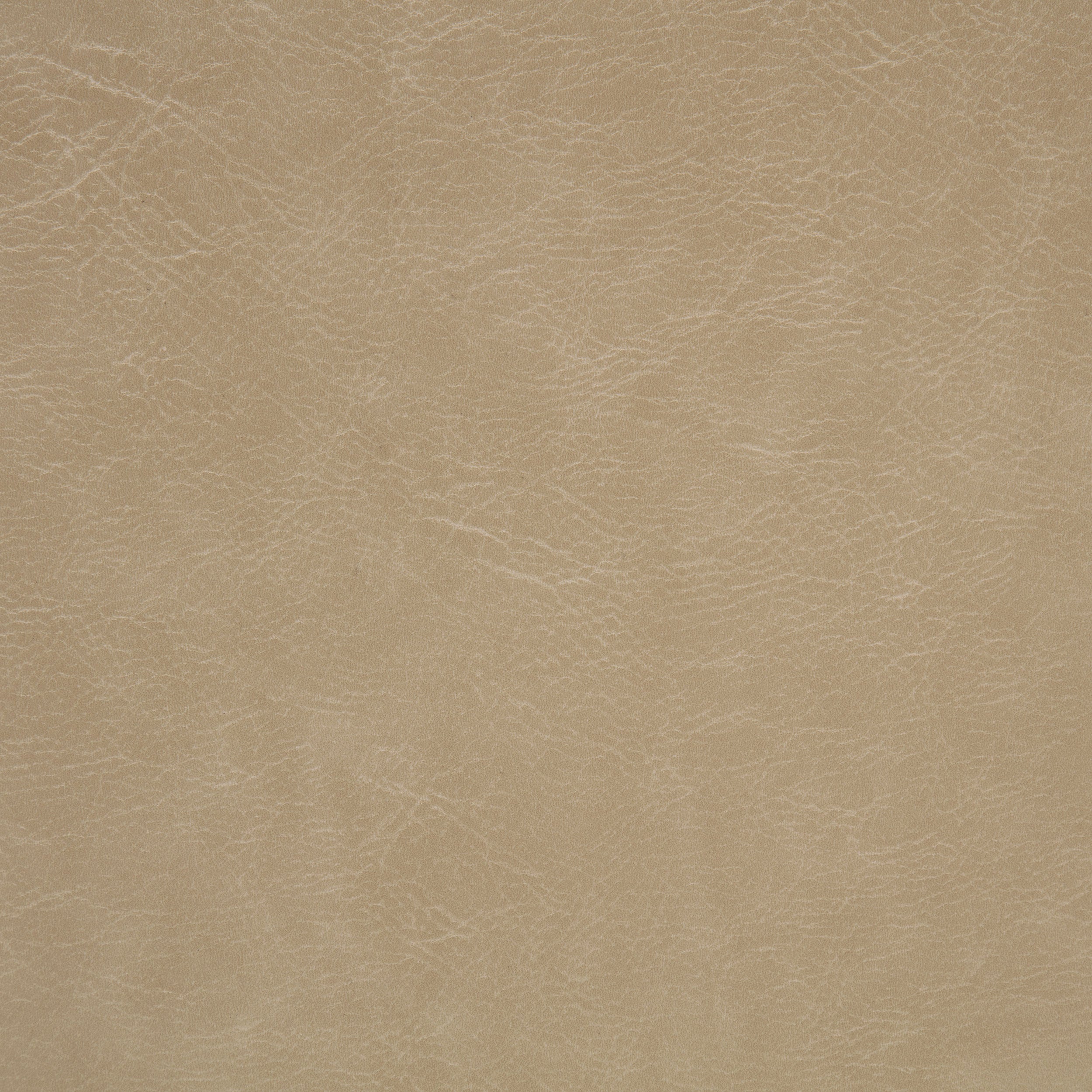 Ortega Upholstered Dining Side Chair Tan (Set of 2) — view 11