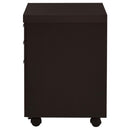 Skeena - 3-Drawer Mobile Office Cabinet