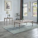 Pelumi - End Table - Platinum