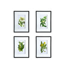 Botanical Flower Wall Art, Home Decor For Living Room Dining Room, Bedroom, Hallway (Set of 4) - White / Blue