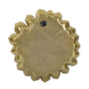 Succulent Wall Plaque