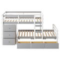 Loft Bunk Bed With Drawers And Ladder