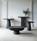 Organic Design Oval Coffee Table