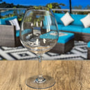 Leadingware Plastic Wine Glasses (Set of 4), Unbreakable Bpa Free Tritan 23Oz - Clear