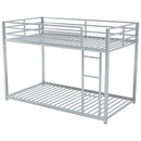 Metal Bunk Bed, Low Bunk Bed With Ladder