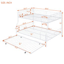 Contemporary Bunk Bed