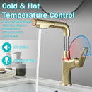 Pull Down Vessel Faucet With Lift Spout & Dual Spray Modes