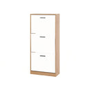 Modern Freestanding Shoe Storage Cabinet With 3 Flip Drawers