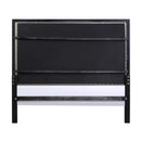 Nicola - Queen Bed - Silver Synthetic Leather & Black