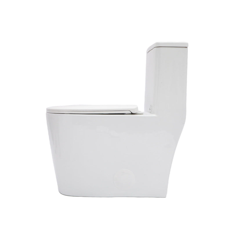 1 Piece Toilet For Bathroom, Soft Closing Seat, Dual Flush 1.1 / 1.6 Gpf - White