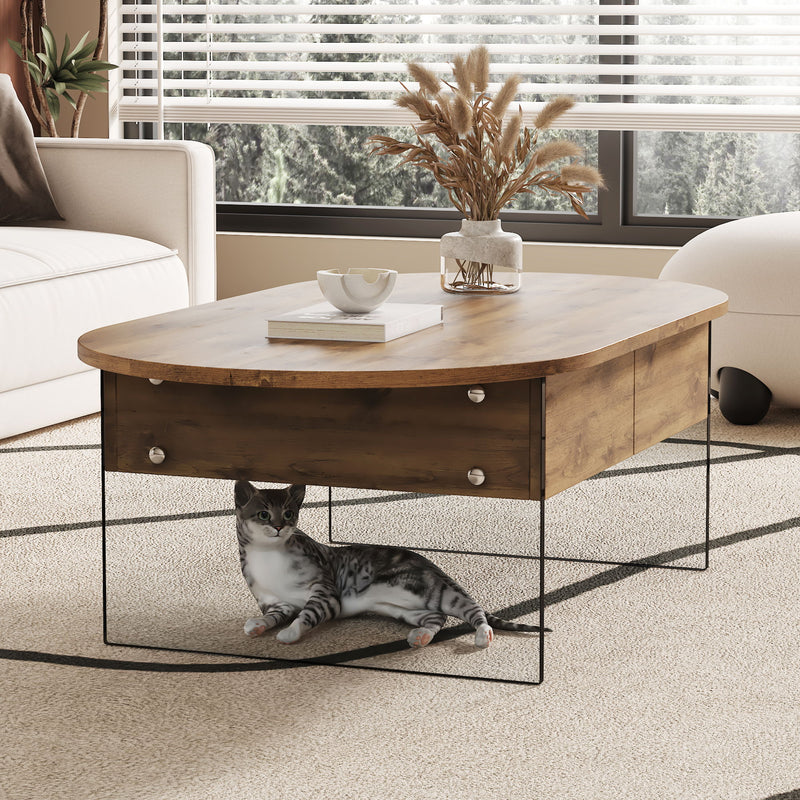 Elegant Coffee Table With Double Drawers And Transparent Glass Sides - Wood