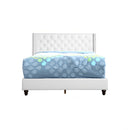 Upholstered Nailhead Trim Chic Bed