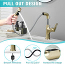 Pull Down Vessel Faucet With Lift Spout & Dual Spray Modes
