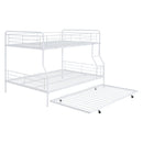 Contemporary Bunk Bed