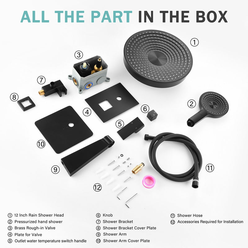 Concealed Shower System 2 Function Set With Control Valve - Matte Black