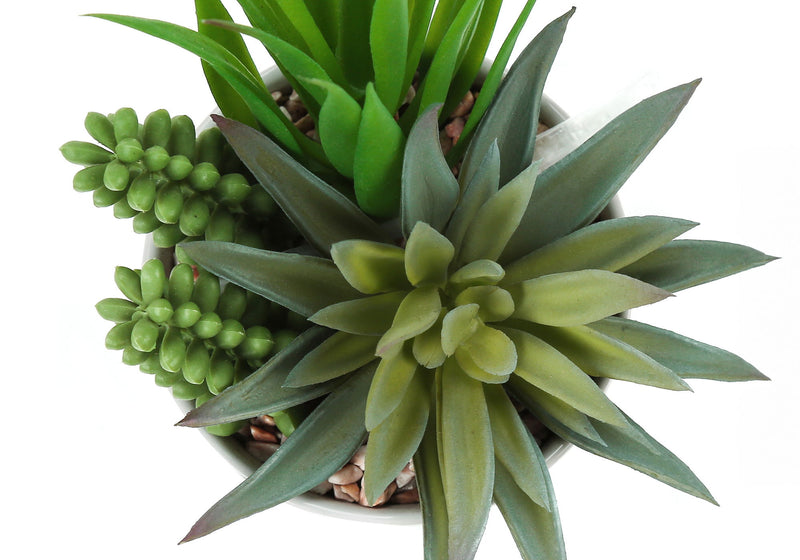 7" Tall, Artificial Plant, Succulent, Indoor, Faux, Fake, Table, Greenery, Potted, Decorative (Set of 2) - Green / White