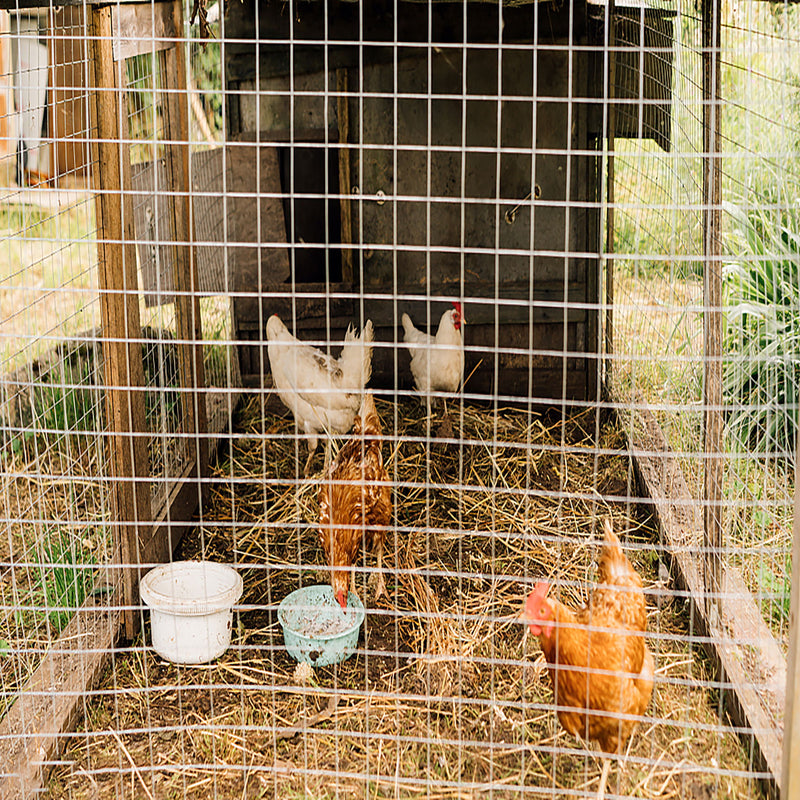 Galvanized Hardware Cloth, Wire Fence Roll For Gardening And Animal Protection - Silver