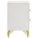 Lucia - 2-Drawer Nightstand - White