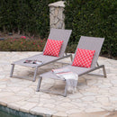 Myers - Modern Chaise Lounge Set With Adjustable Mesh Back