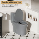 1 Piece Toilet With Dual Flush And Soft Closing Seat