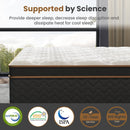 Plush Hybrid Mattresses With Gel Memory Foam, Individual Pocket Spring Motion Isolation Edge Support