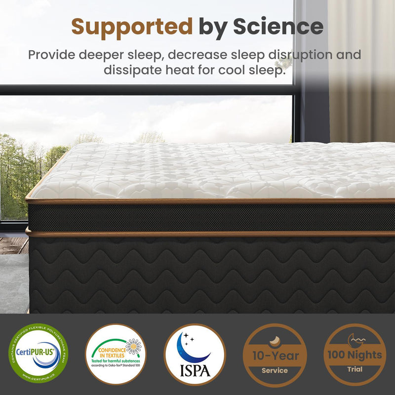 10" Queen Plush Hybrid Mattress With Gel Memory Foam, Individual Pocket Spring Motion Isolation Edge Support - White / Black
