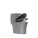 1 Piece Toilet With Dual Flush And Soft Closing Seat