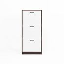 Modern Freestanding Shoe Storage Cabinet With 3 Flip Drawers