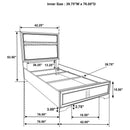 Miranda - Upholstered Panel Bed