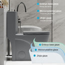 1 Piece Toilet With Tornado Flush, Dual Flush, And ADA Height Comfort Chair