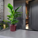 3 Pieces Ceramic Flowerpot, Planter For Patio & Garden Or Windowsills - Bean Paste Red